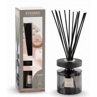 Bouquet Parfume Ellipse - Iris Cachemire